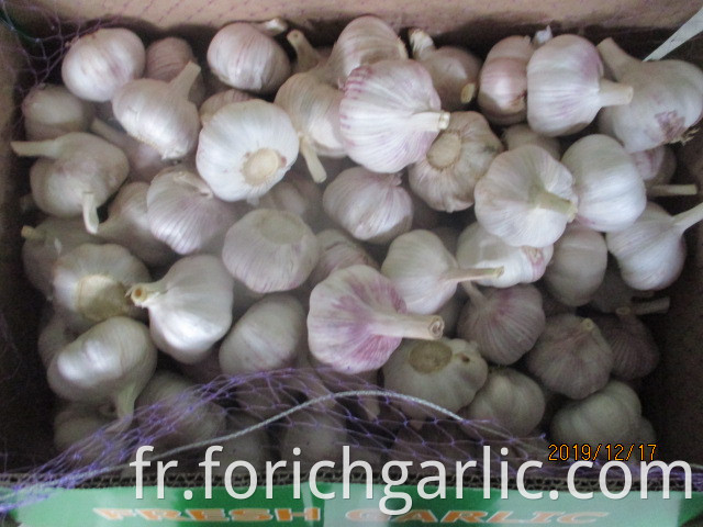 How To Save Fresh Garlic